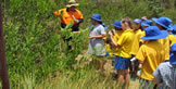 Students on a guided walk with Ecohort